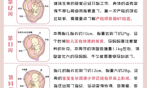 权威醒脑静是哪个厂家出的平台,分享专业醒脑静20ml多少钱一支知识_醒脑静江西国药说明书网