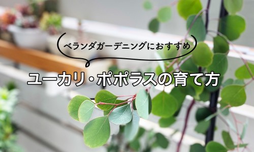 权威醒脑静是哪个厂家出的平台,分享专业醒脑静20ml多少钱一支知识_醒脑静江西国药说明书网